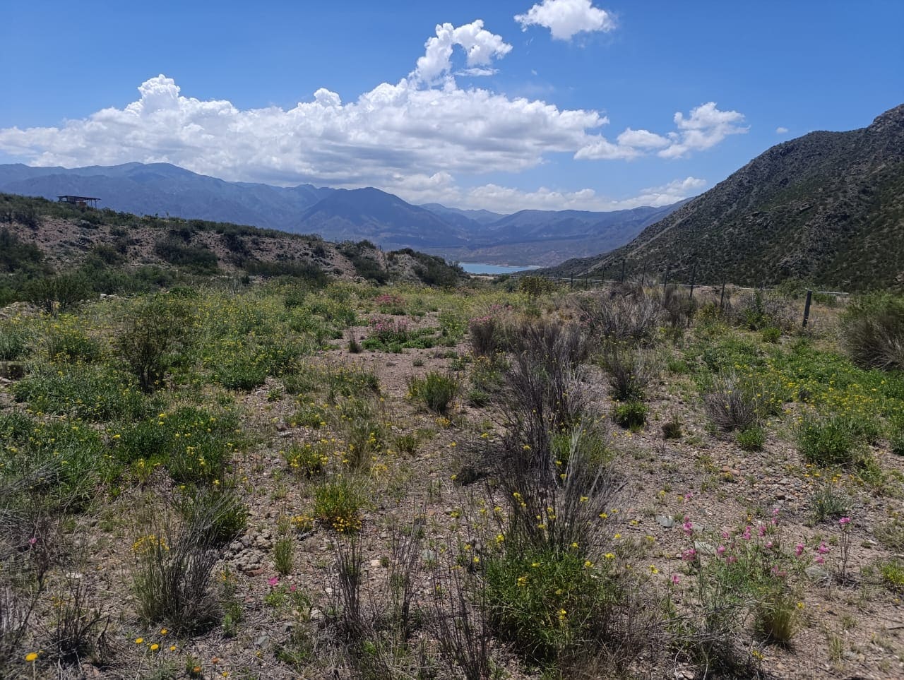 Lote, Ruta 7, Potrerillos, oportunidad, inmobiliaria, inversión